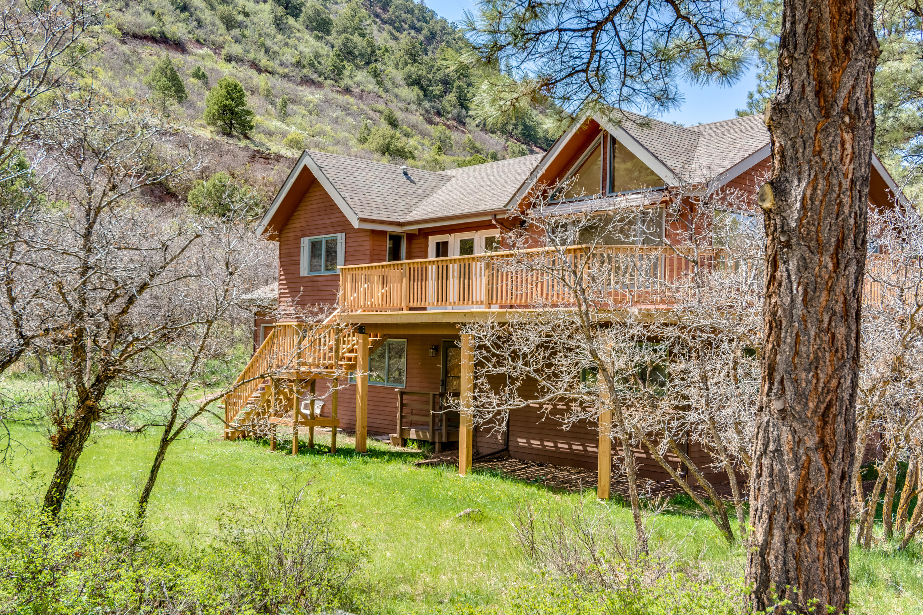 102 Pine Ridge Drive Ridgway, CO 81432 - Photo 2 of 25 102 Pine Ridge Drive-3