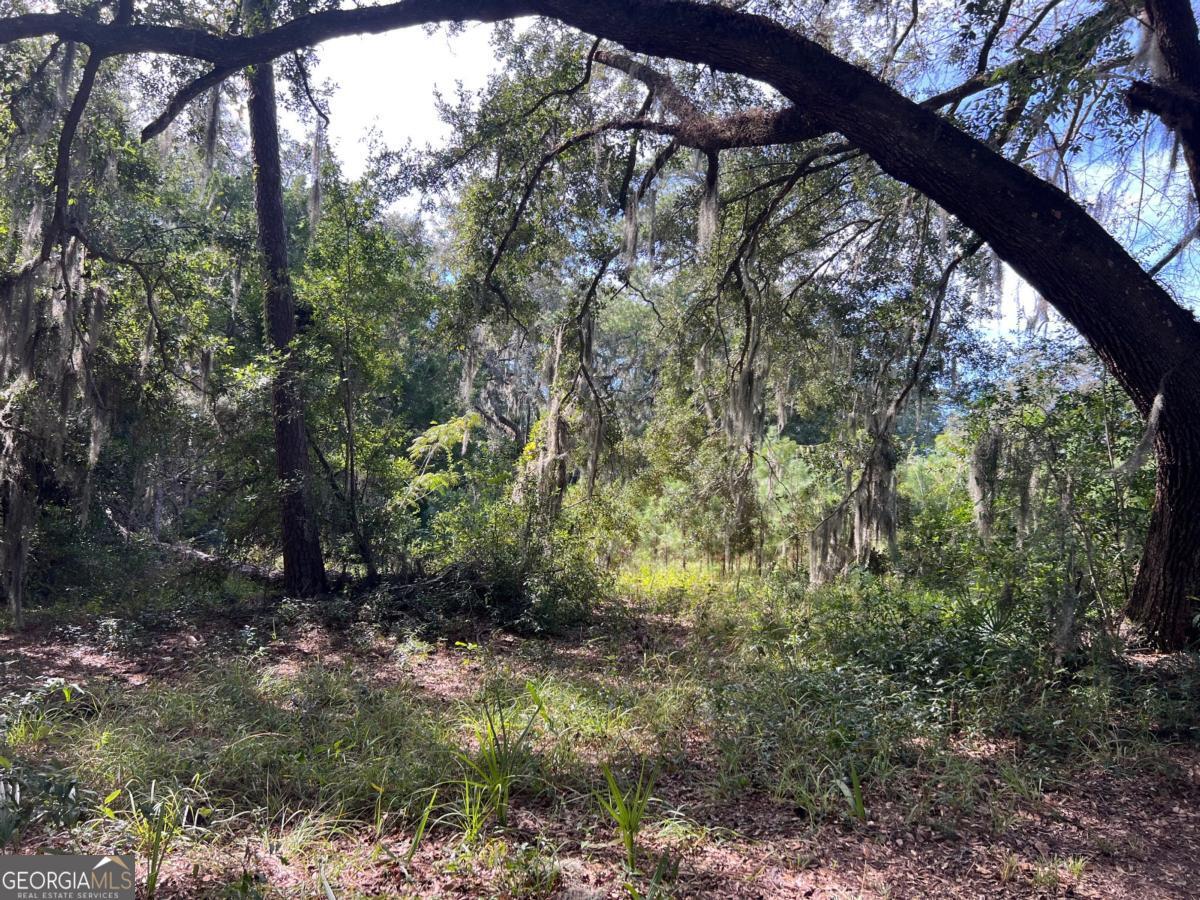 116 Smith Road Brunswick, GA 31525 - Photo 11 of 22