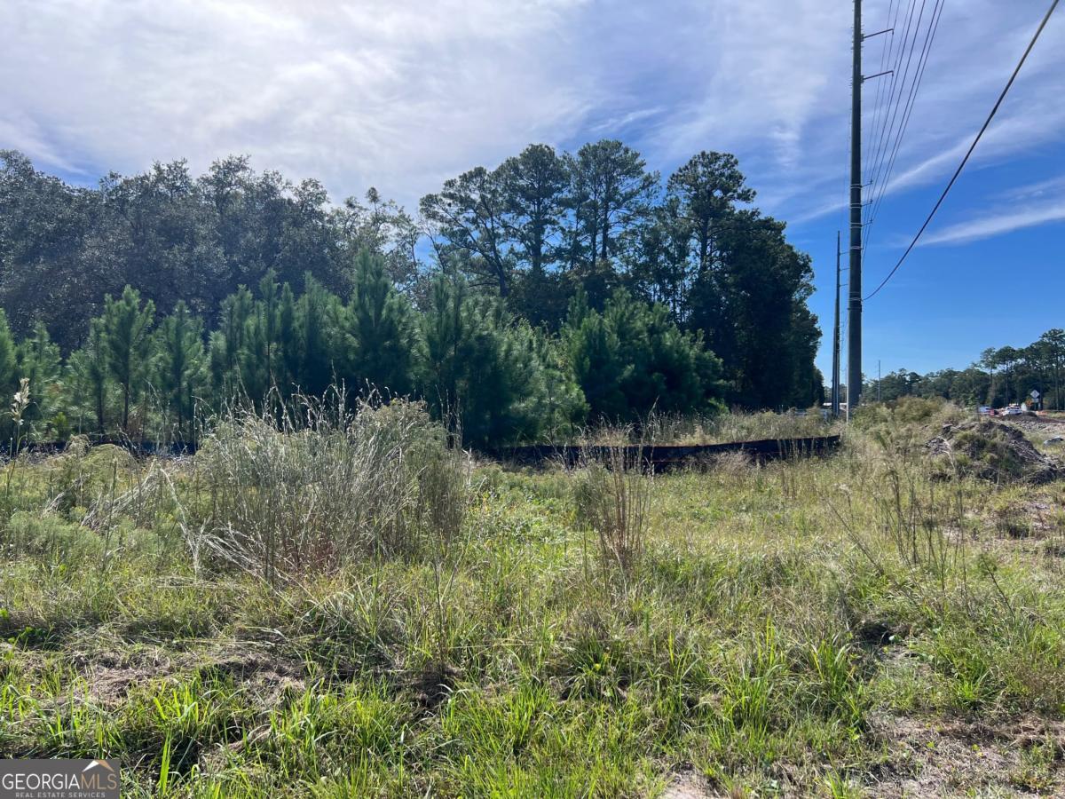 116 Smith Road Brunswick, GA 31525 - Photo 3 of 22