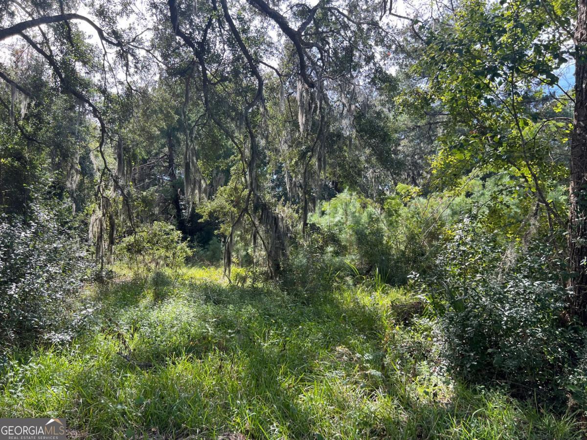 116 Smith Road Brunswick, GA 31525 - Photo 5 of 22