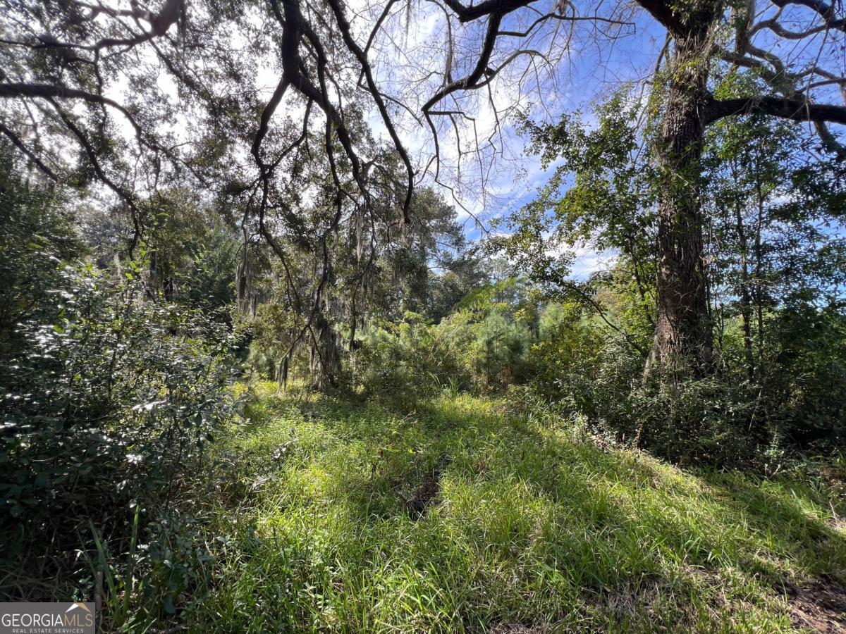 116 Smith Road Brunswick, GA 31525 - Photo 7 of 22