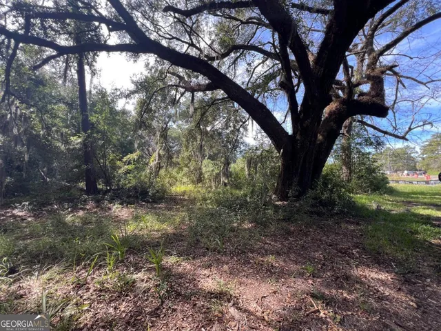 $160,000 | 116 Smith Road, Brunswick, GA 31525