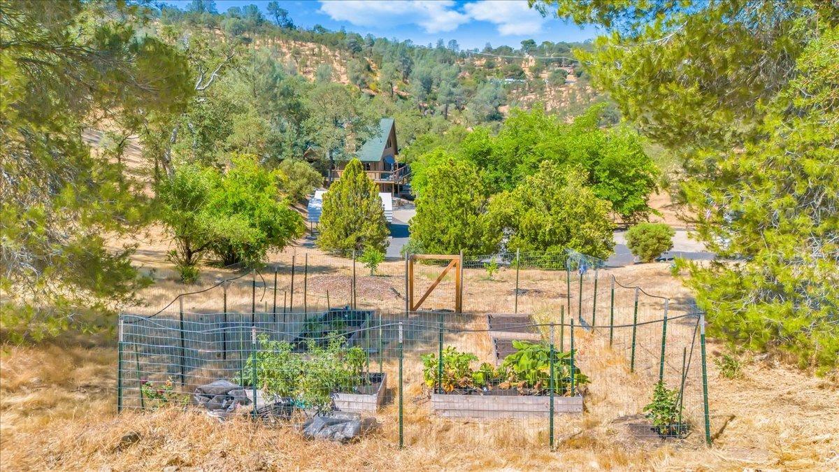 1499 Sawmill Road, Unit 594 Copperopolis, CA 95228 - Photo 68 of 98 a view of a garden