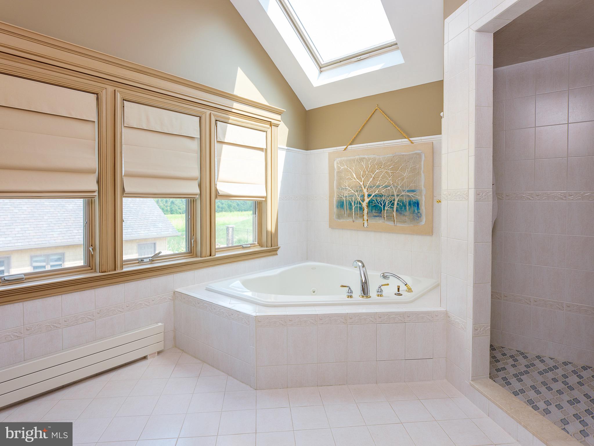 299 Woodhill Road Newtown, PA 18940 - Photo 42 of 84 Corner soaking tub with walk in shower suite