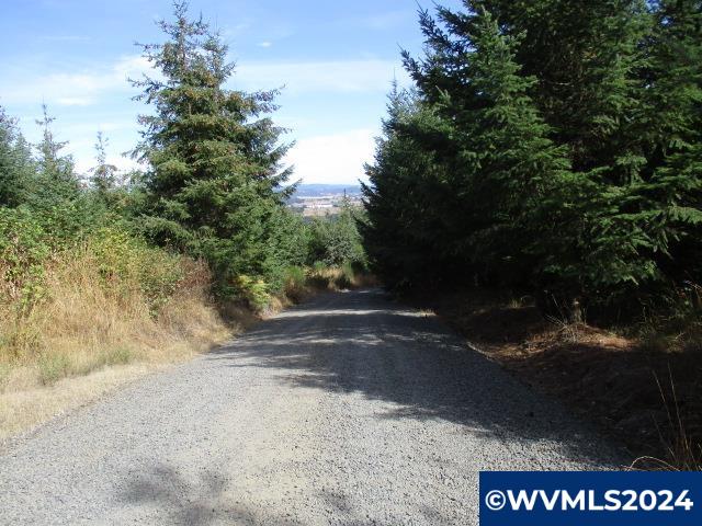 0 Northwest Crane (4) Road Yamhill, OR 97148 - Photo 7 of 12
