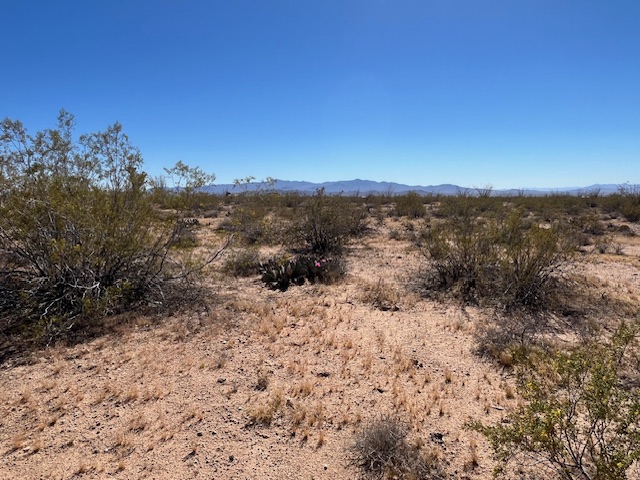 207-17-166a Cherry Road Yucca, AZ 86438 - Photo 12 of 15