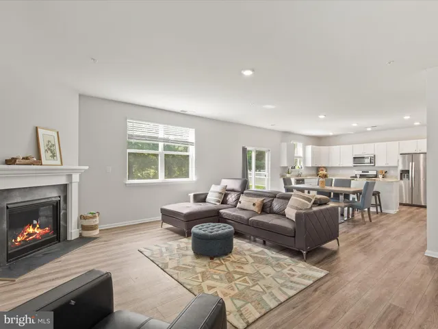 a living room with furniture a window and a fireplace