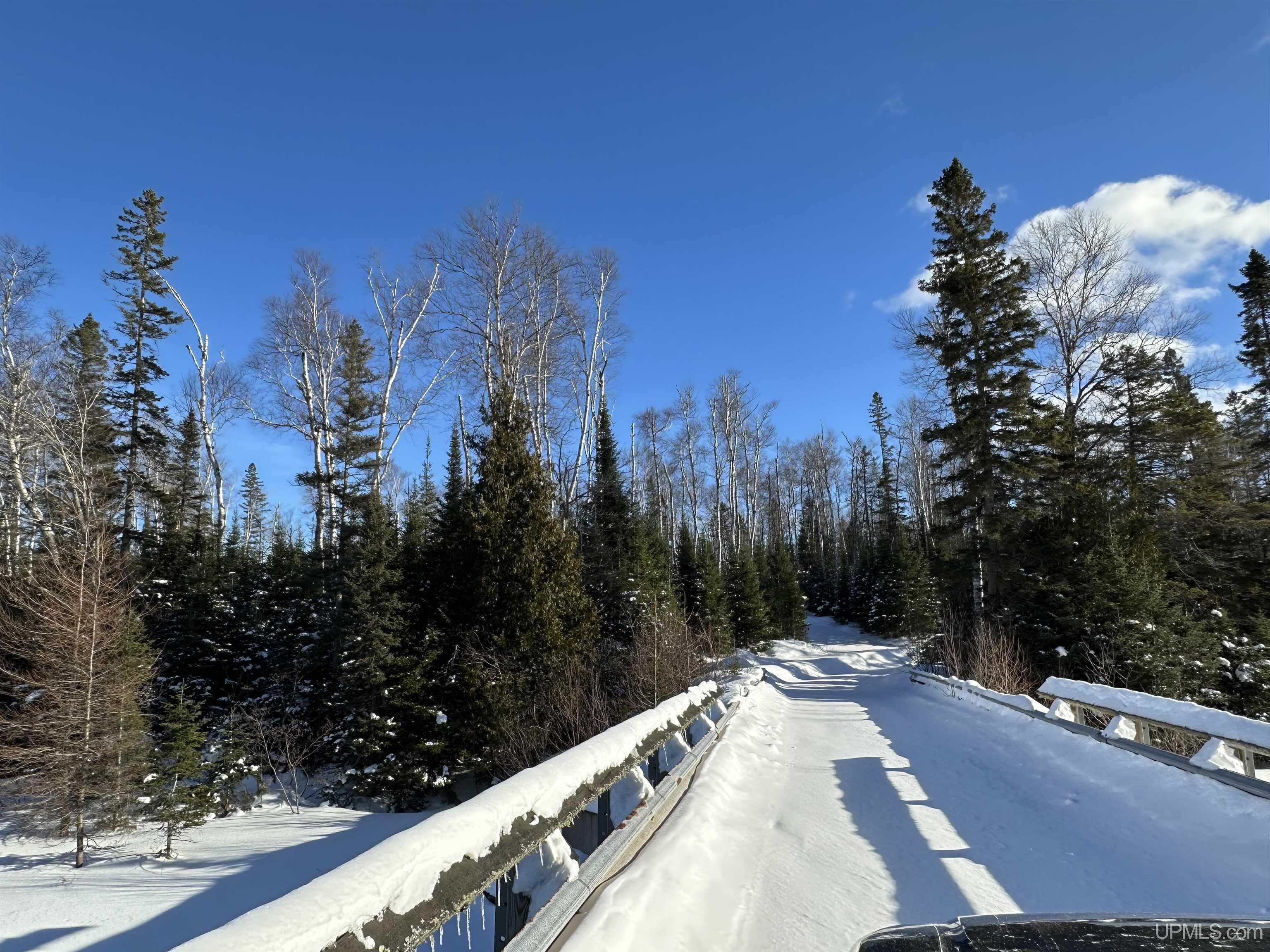 Lot 29 Secluded Point Road Michigamme, MI 49861 - Photo 7 of 21 Gallery Image 7