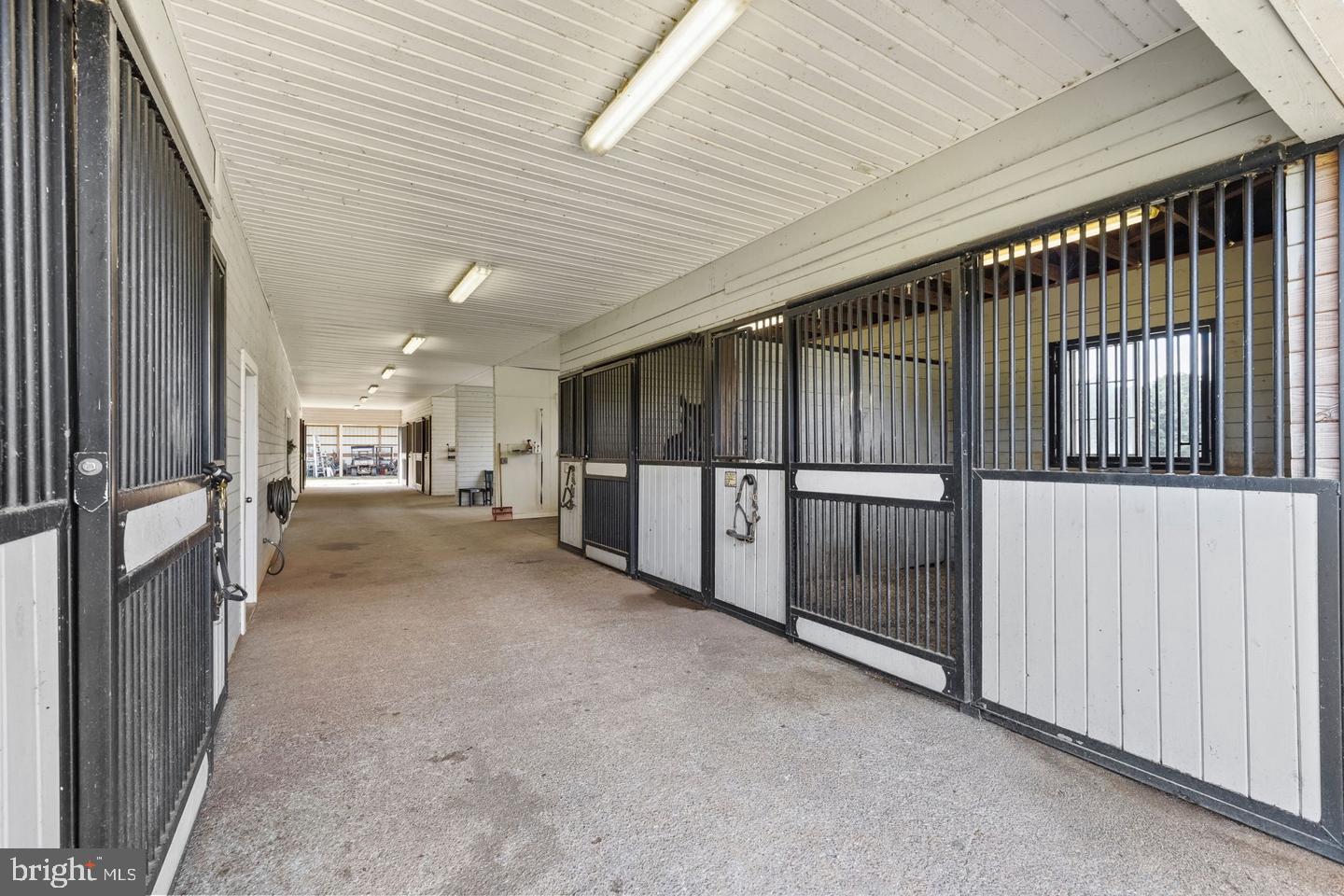 19113 Irby Spring Road Rockville, VA 23146 - Photo 6 of 75 Wash stall, grooming stall, feed rm, lounge & more