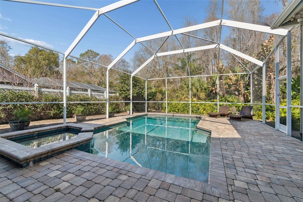 7703 Northaven Place New Port Richey, FL 34655 - Photo 47 of 62