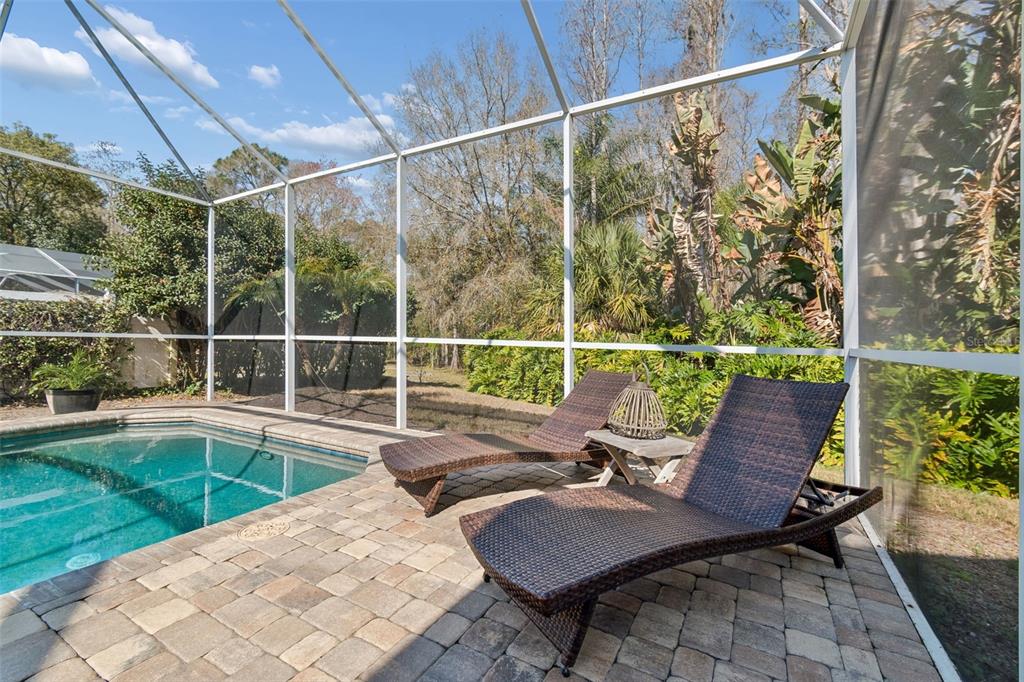 7703 Northaven Place New Port Richey, FL 34655 - Photo 52 of 62