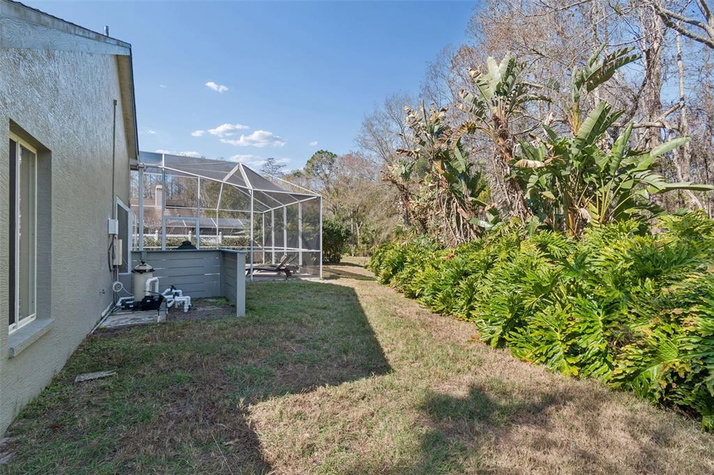 7703 Northaven Place New Port Richey, FL 34655 - Photo 56 of 62