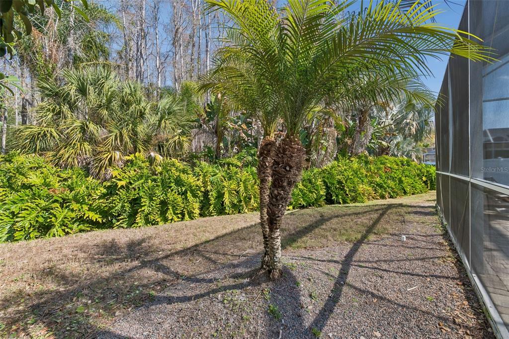 7703 Northaven Place New Port Richey, FL 34655 - Photo 57 of 62