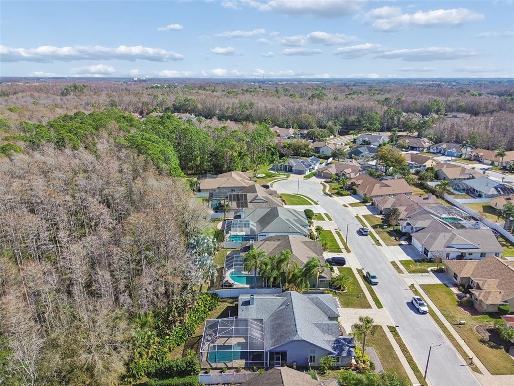 7703 Northaven Place New Port Richey, FL 34655 - Photo 61 of 62