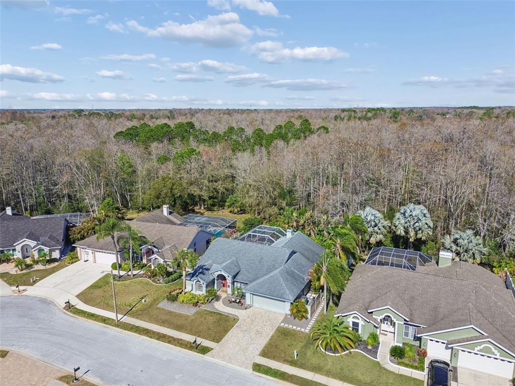 7703 Northaven Place New Port Richey, FL 34655 - Photo 62 of 62