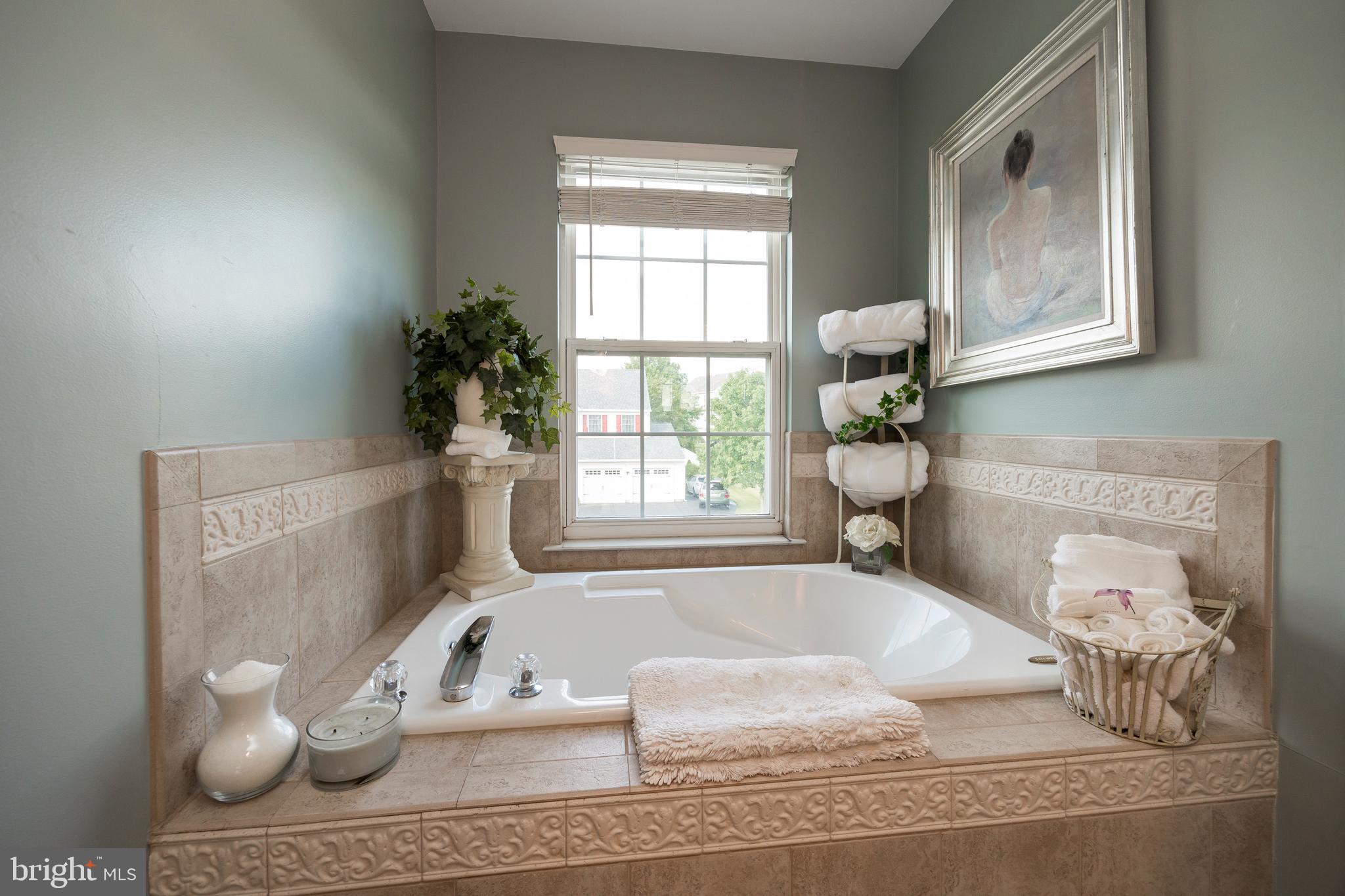 303 Doe Run Road Harleysville, PA 19438 - Photo 28 of 61 Soaking Tub