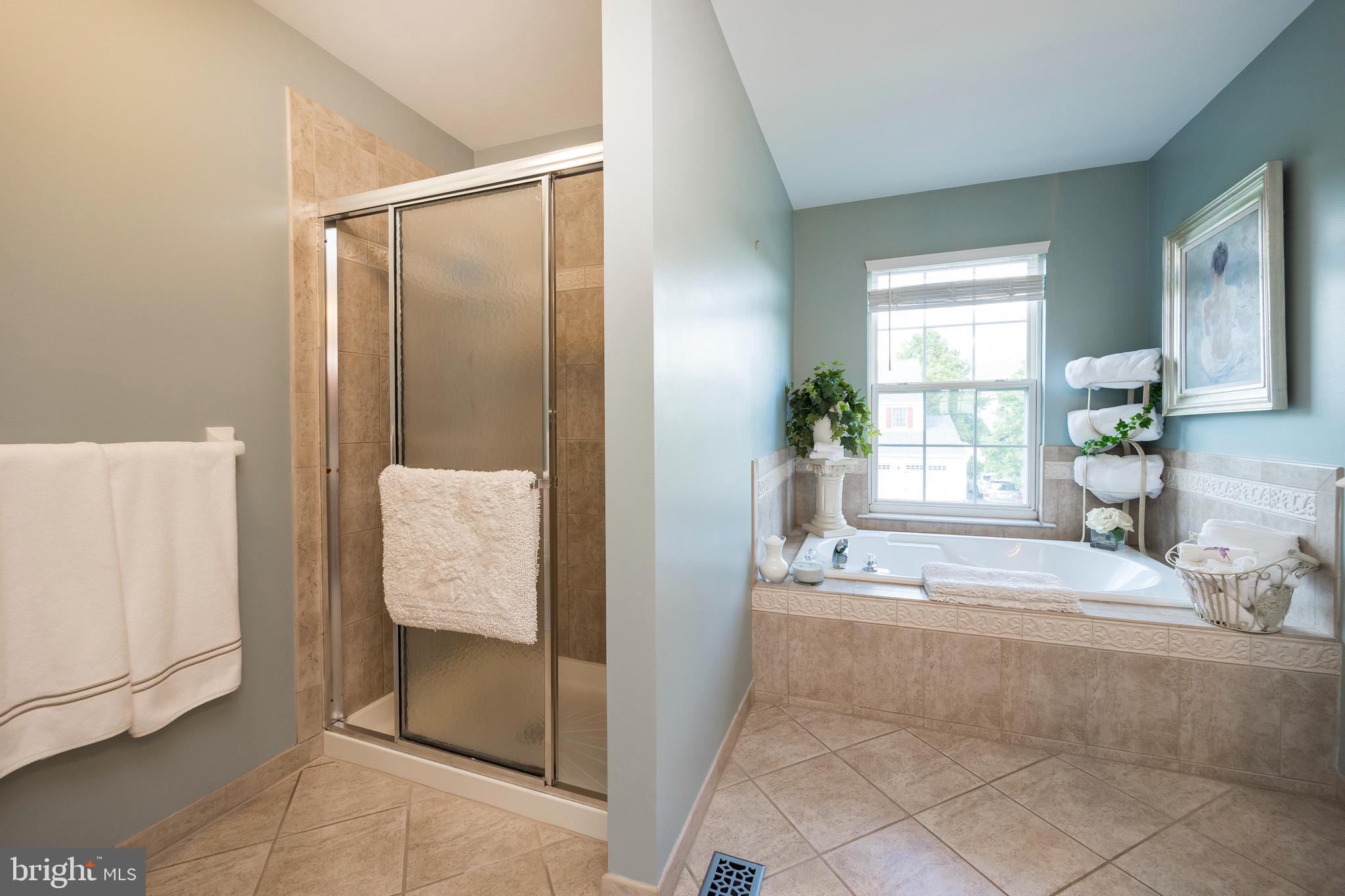 303 Doe Run Road Harleysville, PA 19438 - Photo 29 of 61 Stand alone shower