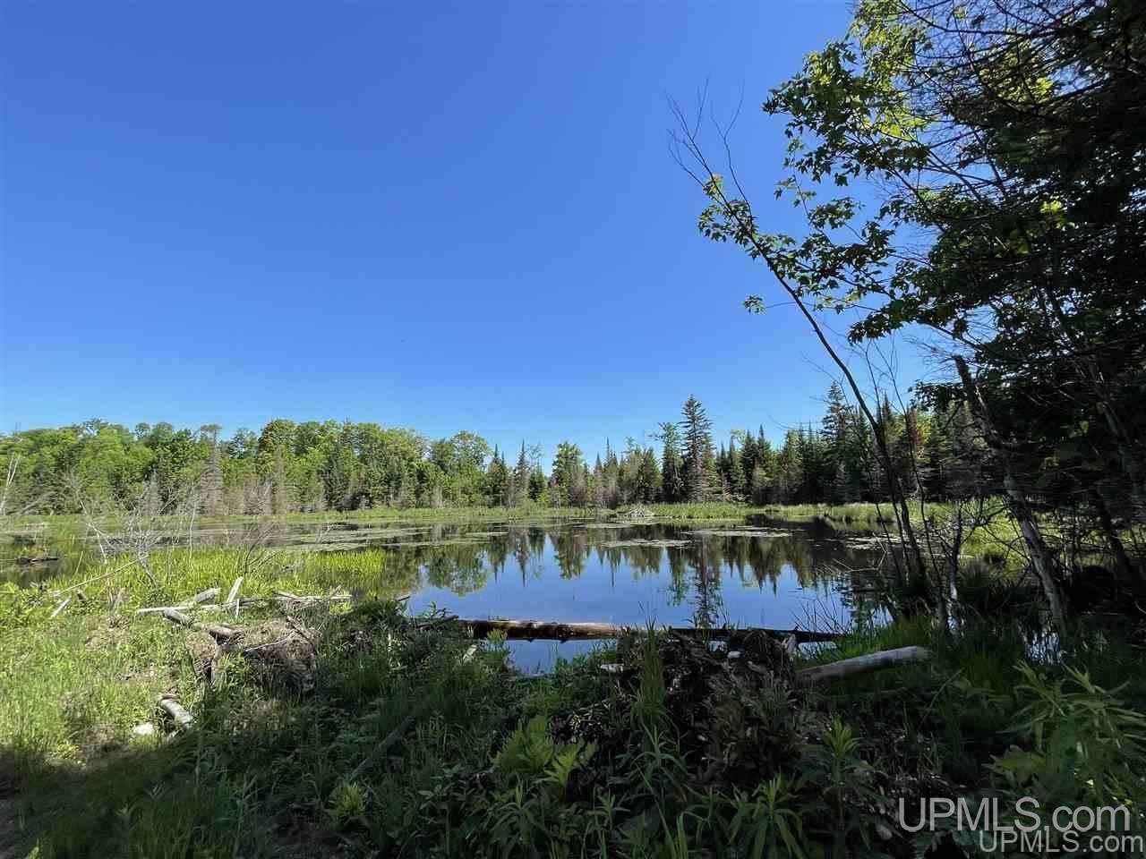 Tbd Off S Curtis Road Germfask, MI 49820 - Photo 23 of 24 Gallery Image 23
