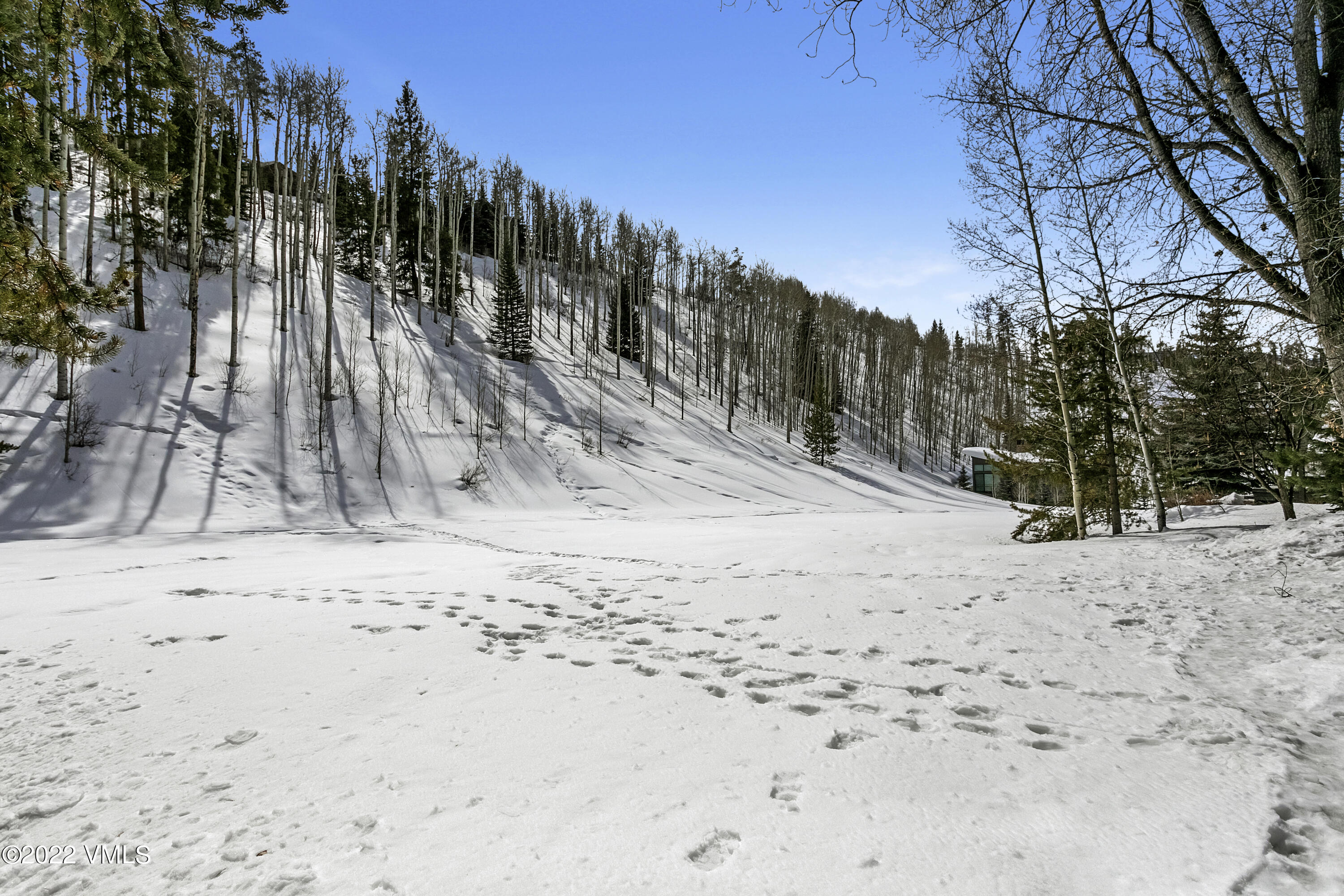 1614 Buffehr Creek Road, Unit A19 Vail, CO 81657 - Photo 17 of 23 a view of a dry yard with a tree