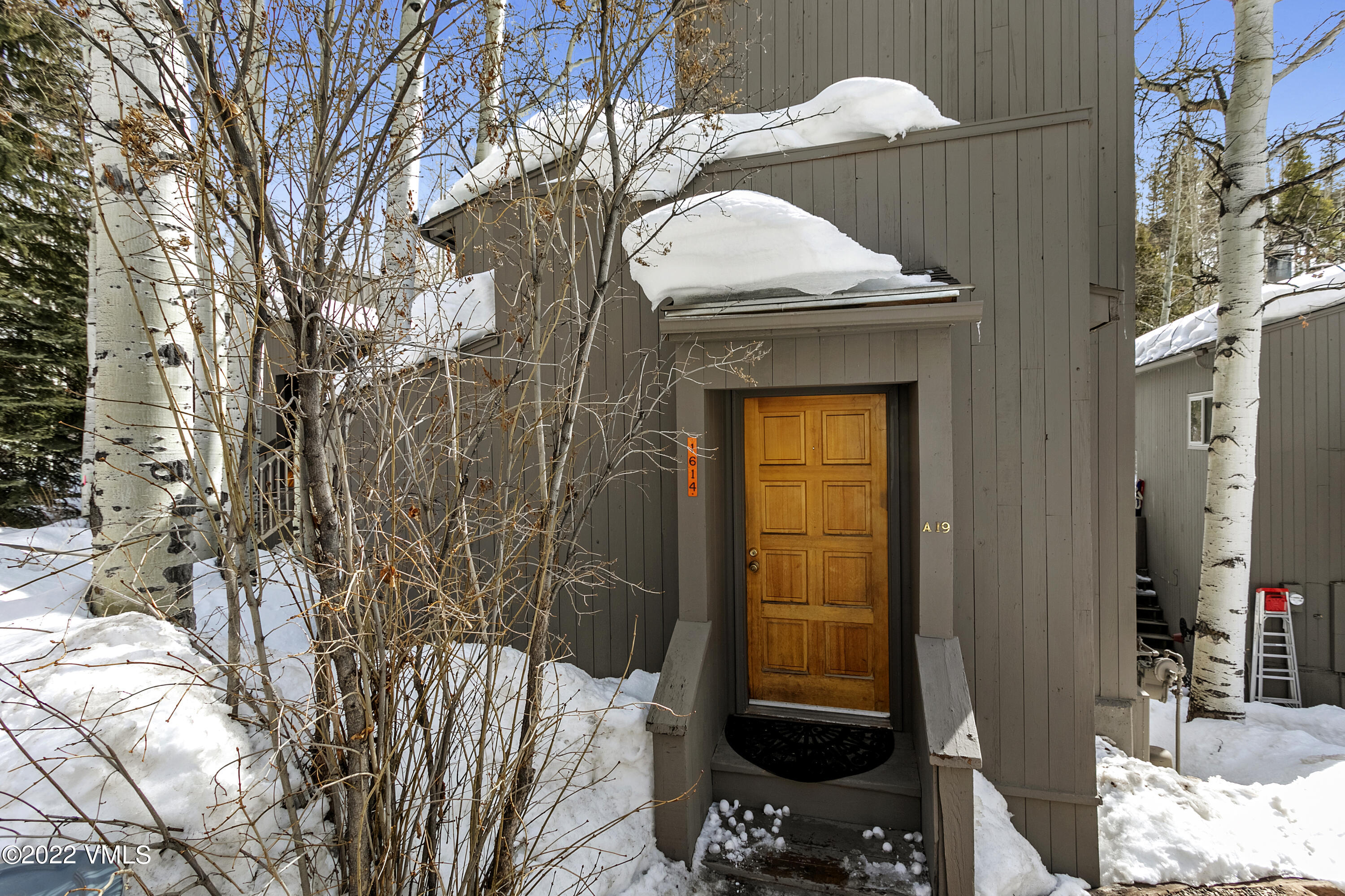 1614 Buffehr Creek Road, Unit A19 Vail, CO 81657 - Photo 3 of 23 a view of a door of the house