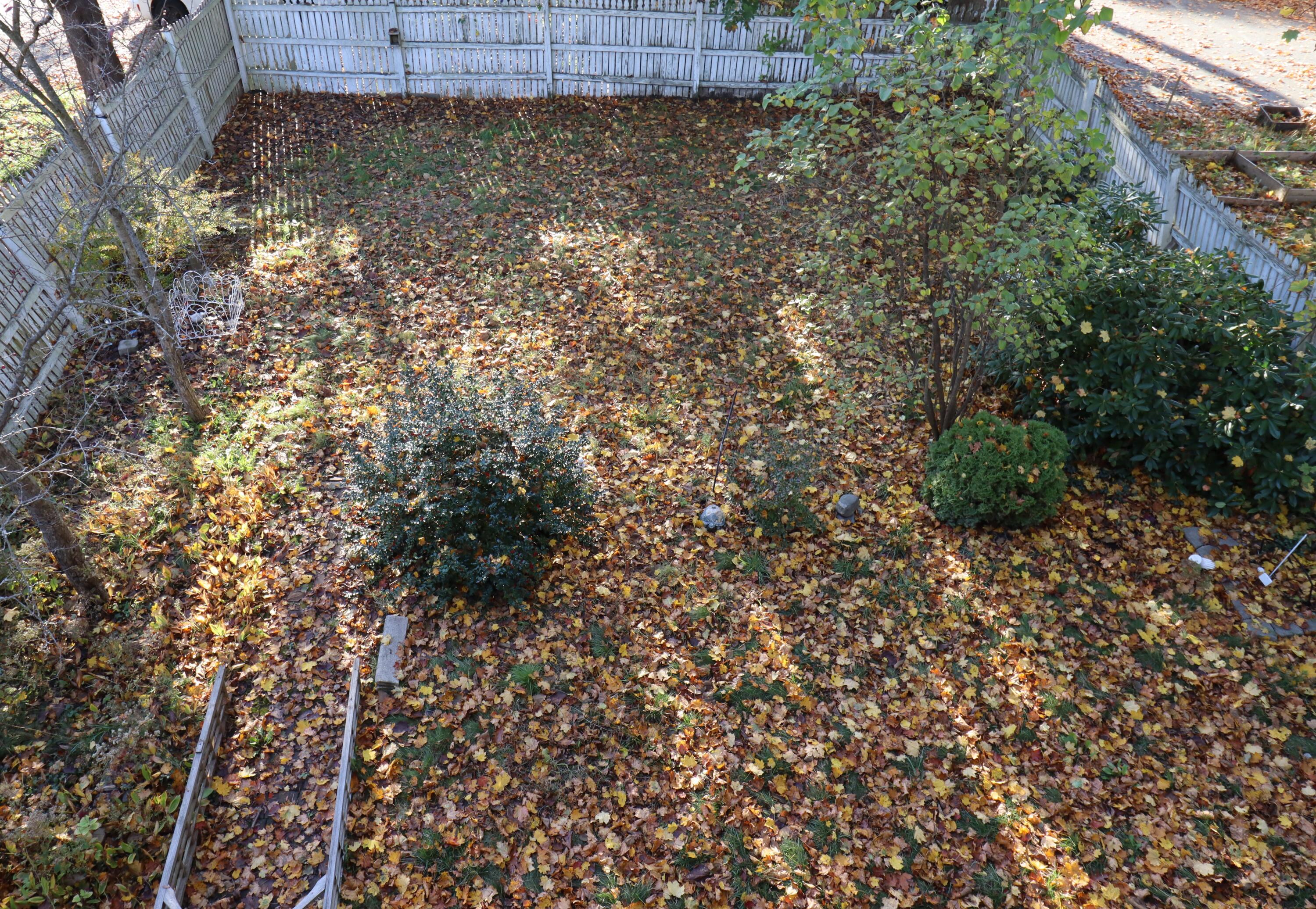 36 Roberts Street Portland, ME 04102 - Photo 18 of 18 Back Yard