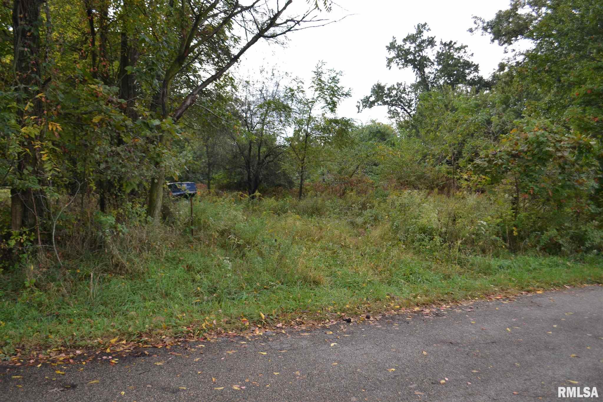 East EAST 250th Road Kansas, IL 61933 - Photo 2 of 37