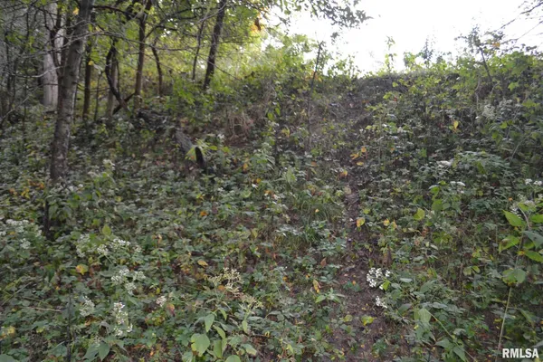 $334,800 | East EAST 250th Road, Kansas, IL 61933