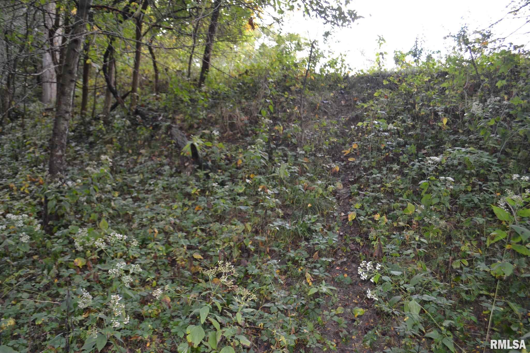 East EAST 250th Road Kansas, IL 61933 - Photo 11 of 37