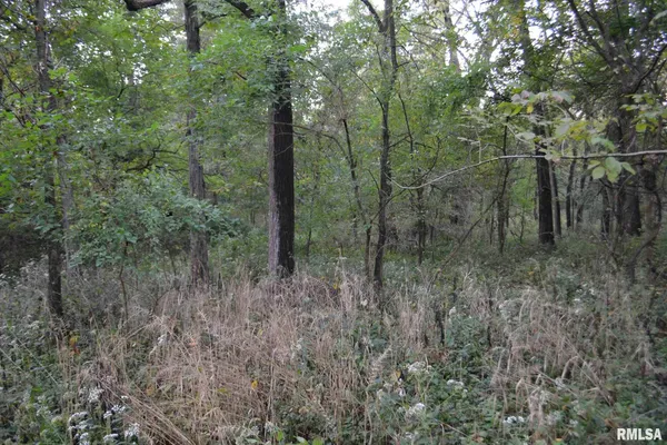 $334,800 | East EAST 250th Road, Kansas, IL 61933