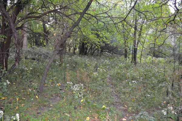 $334,800 | East EAST 250th Road, Kansas, IL 61933