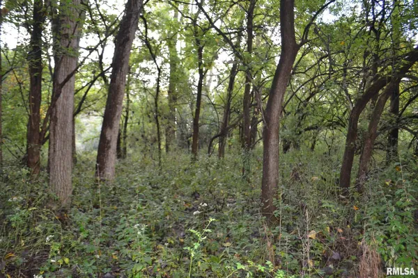 $334,800 | East EAST 250th Road, Kansas, IL 61933