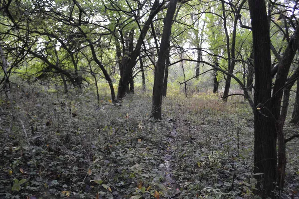 $334,800 | East EAST 250th Road, Kansas, IL 61933