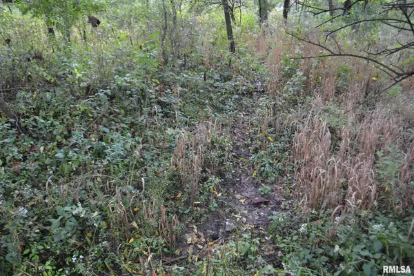 $334,800 | East EAST 250th Road, Kansas, IL 61933