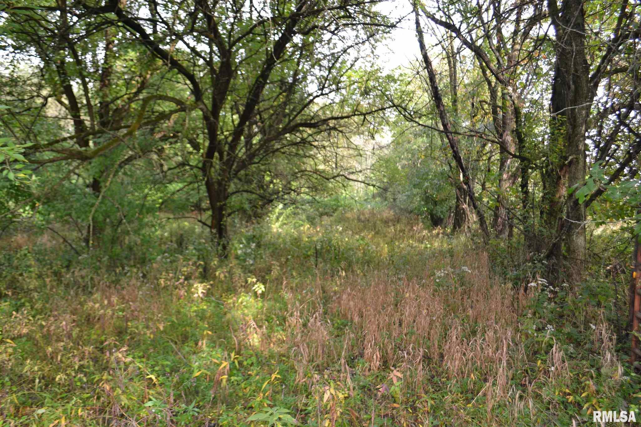 East EAST 250th Road Kansas, IL 61933 - Photo 18 of 37