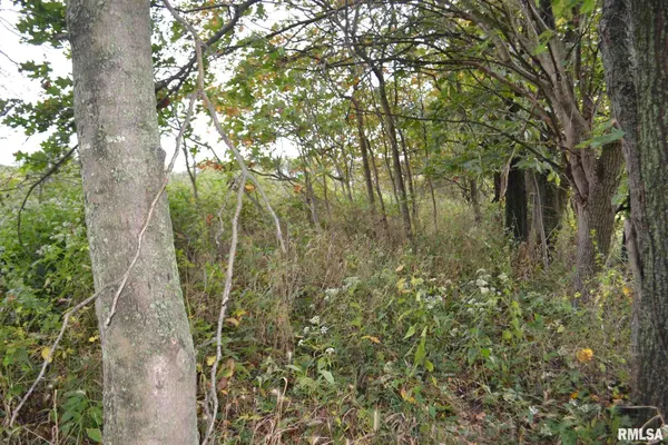 $334,800 | East EAST 250th Road, Kansas, IL 61933