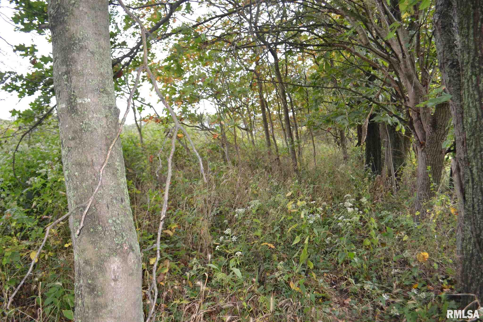 East EAST 250th Road Kansas, IL 61933 - Photo 19 of 37