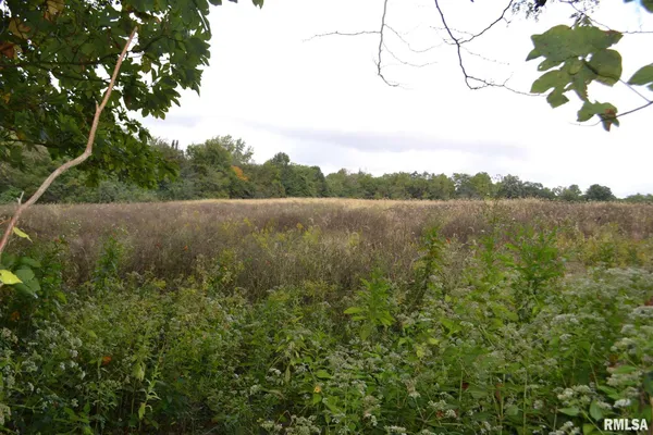 $334,800 | East EAST 250th Road, Kansas, IL 61933