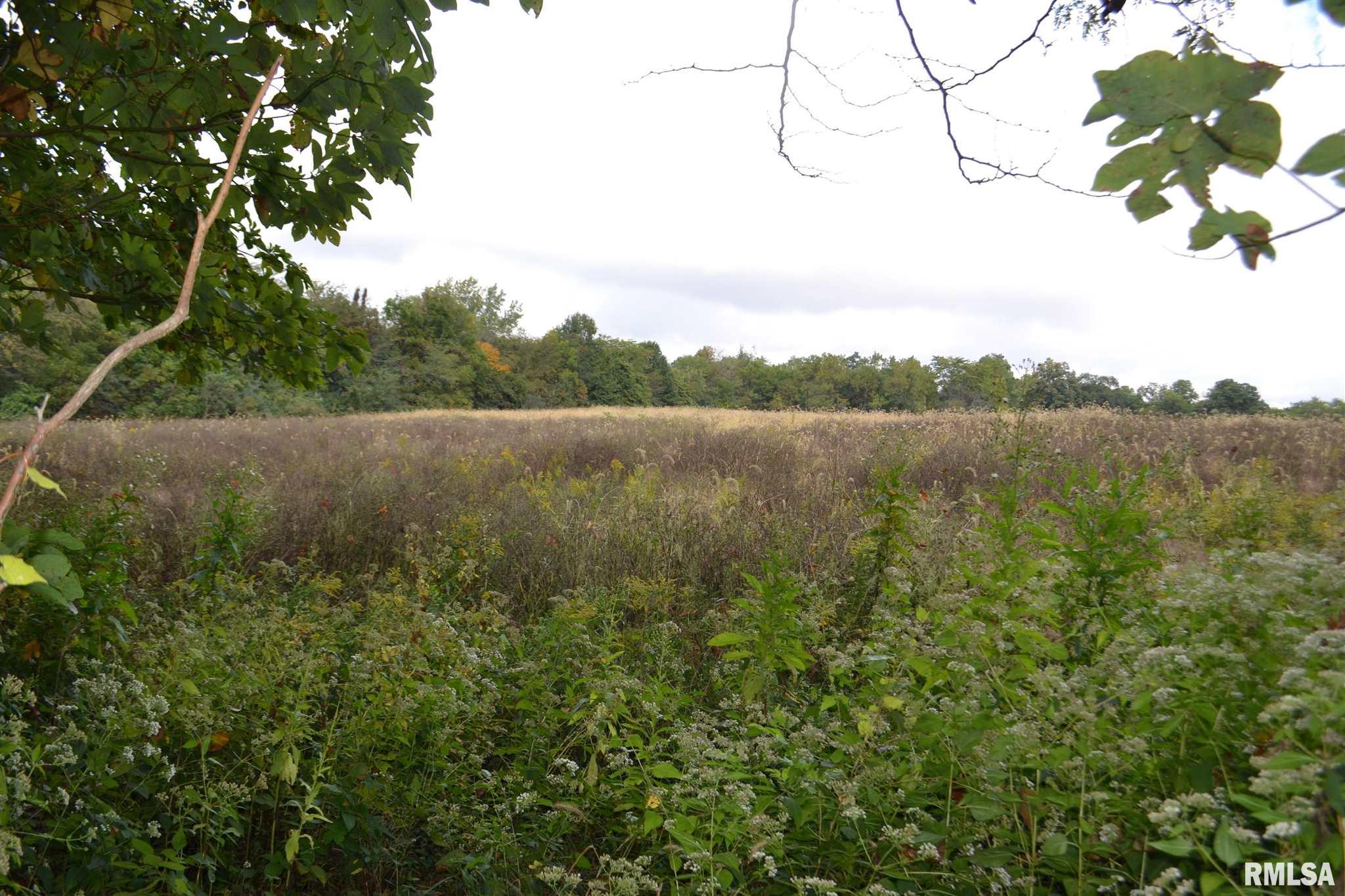 East EAST 250th Road Kansas, IL 61933 - Photo 20 of 37
