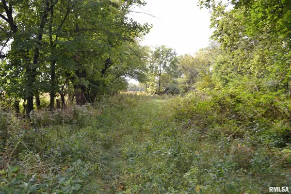 $334,800 | East EAST 250th Road, Kansas, IL 61933