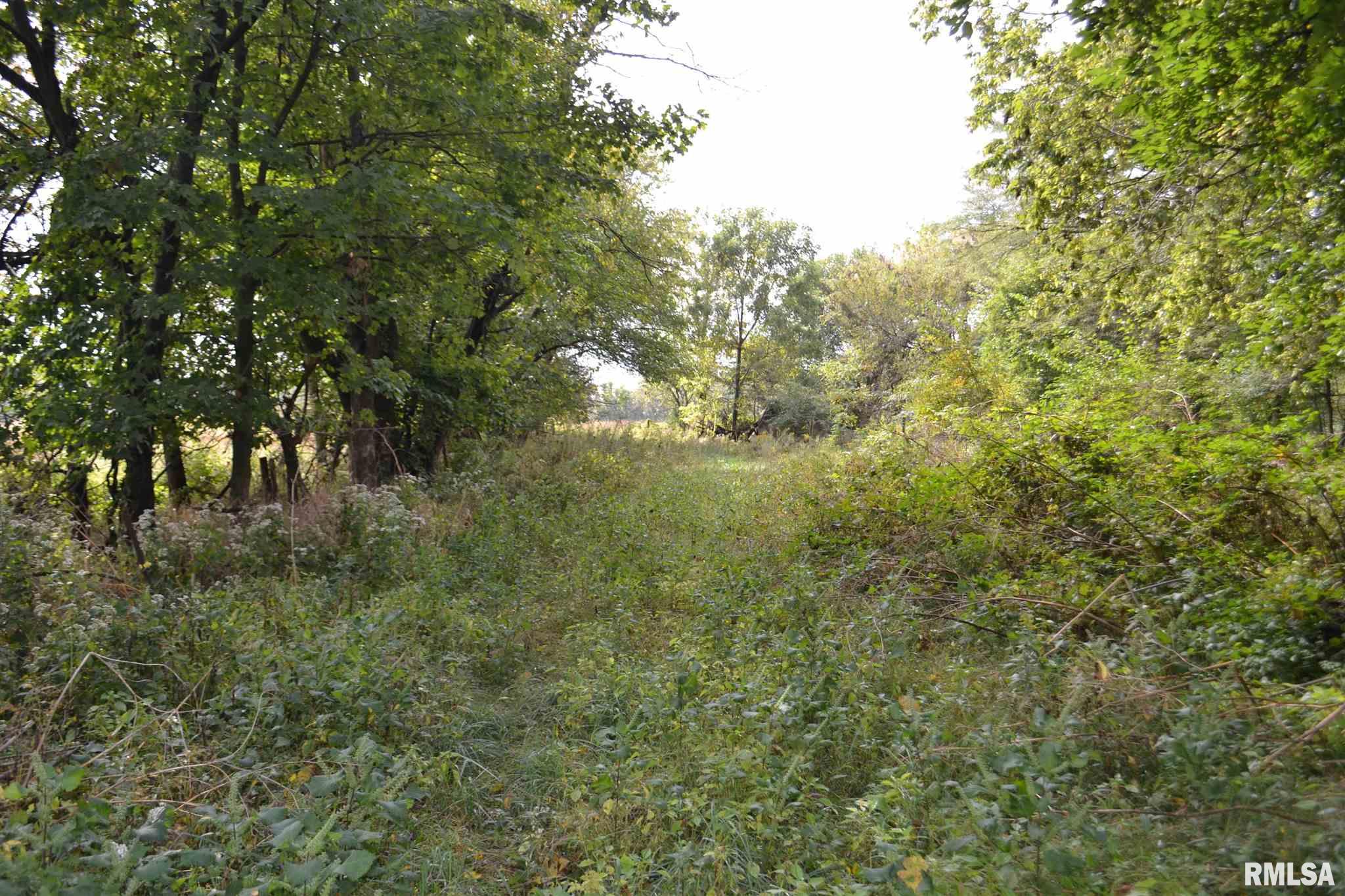 East EAST 250th Road Kansas, IL 61933 - Photo 3 of 37