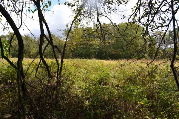 $334,800 | East EAST 250th Road, Kansas, IL 61933