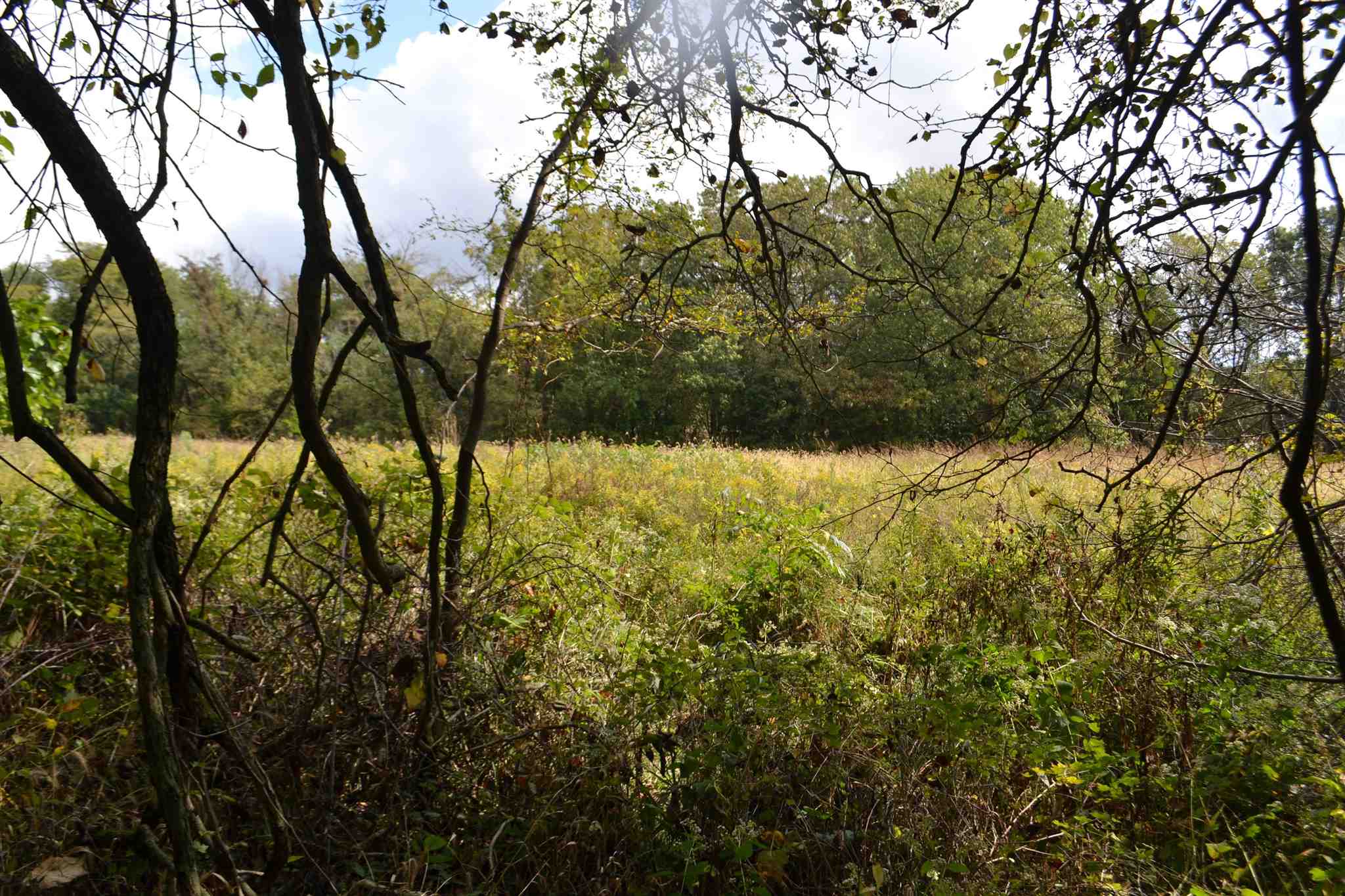 East EAST 250th Road Kansas, IL 61933 - Photo 22 of 37