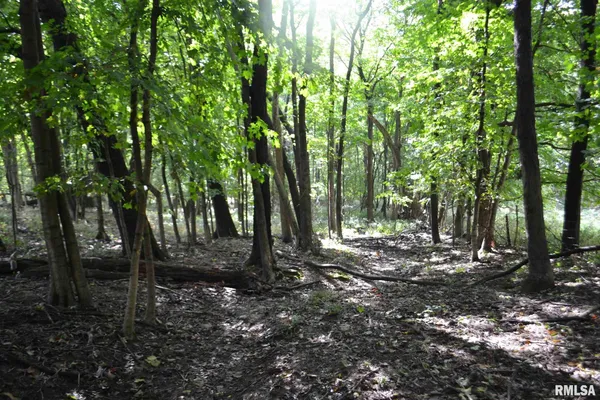 $334,800 | East EAST 250th Road, Kansas, IL 61933