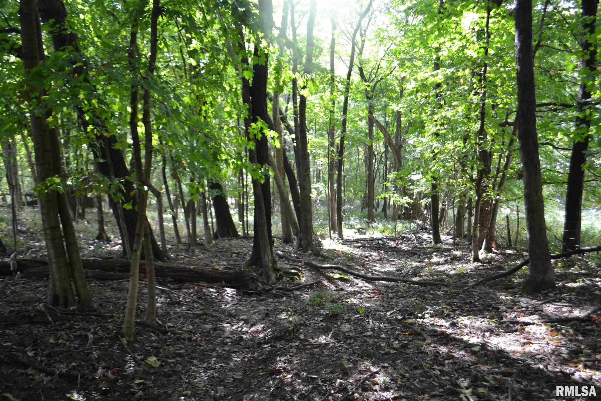 East EAST 250th Road Kansas, IL 61933 - Photo 23 of 37