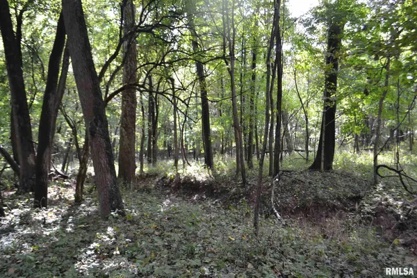 $334,800 | East EAST 250th Road, Kansas, IL 61933