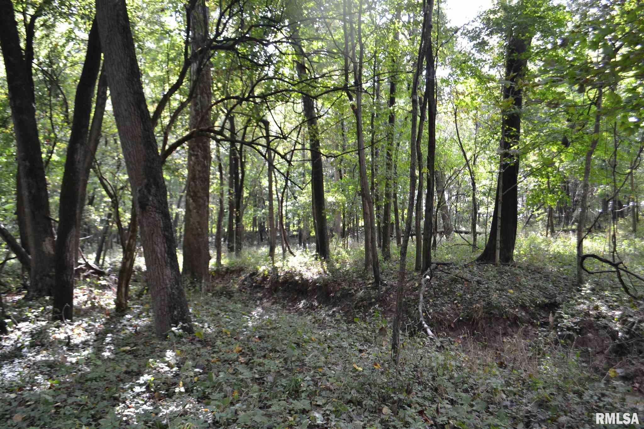 East EAST 250th Road Kansas, IL 61933 - Photo 24 of 37