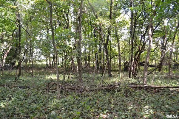 $334,800 | East EAST 250th Road, Kansas, IL 61933