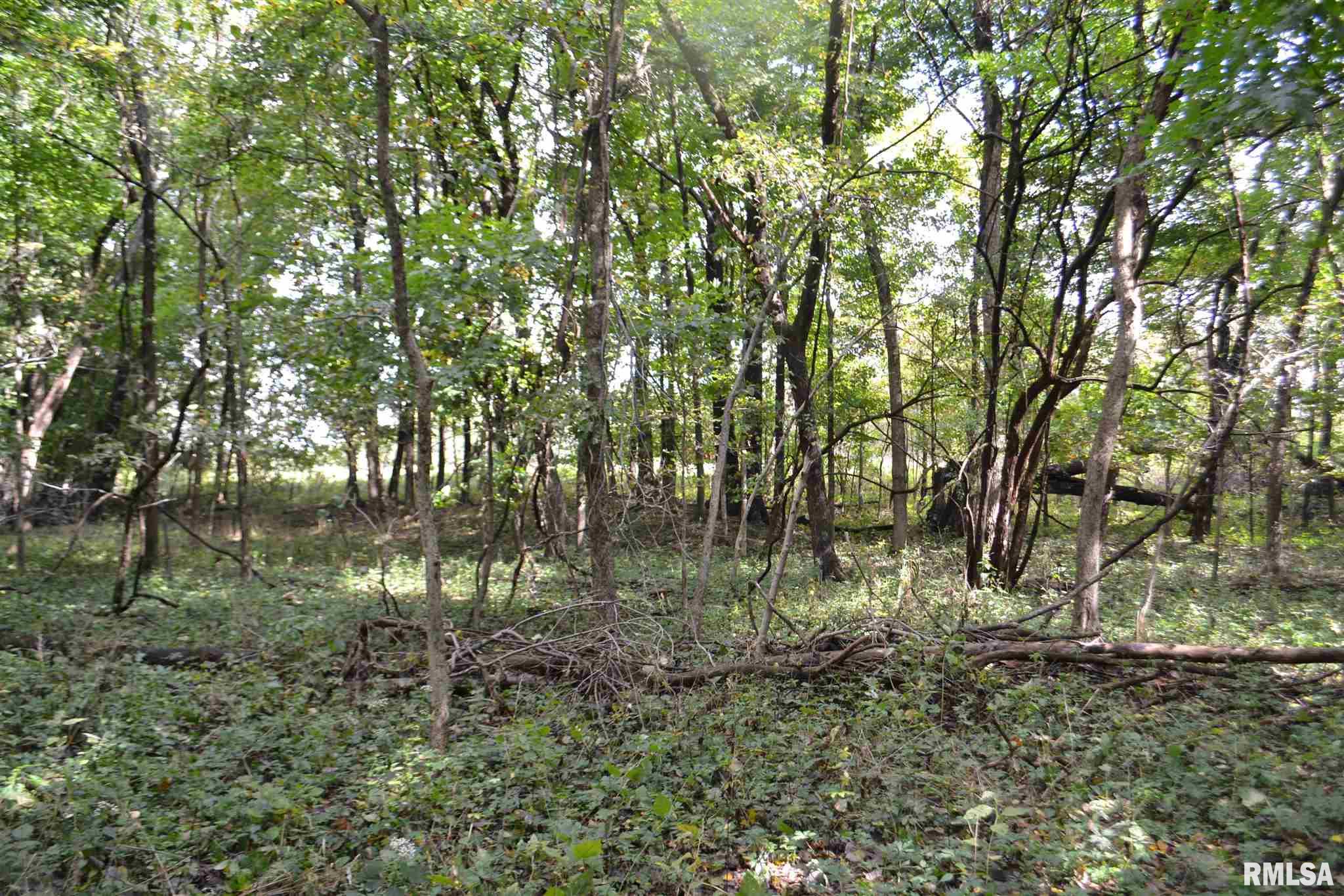 East EAST 250th Road Kansas, IL 61933 - Photo 25 of 37