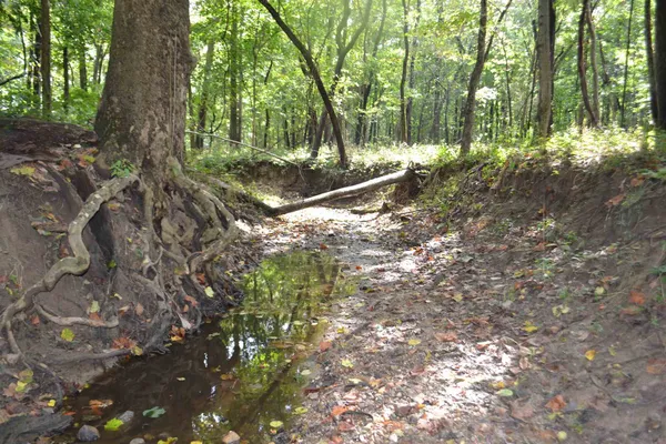 $334,800 | East EAST 250th Road, Kansas, IL 61933