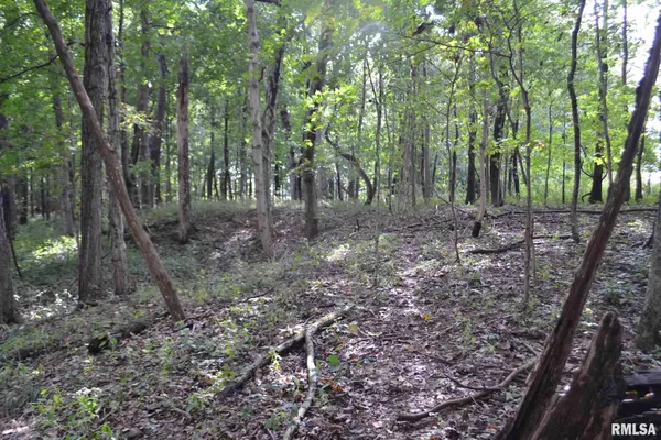 $334,800 | East EAST 250th Road, Kansas, IL 61933